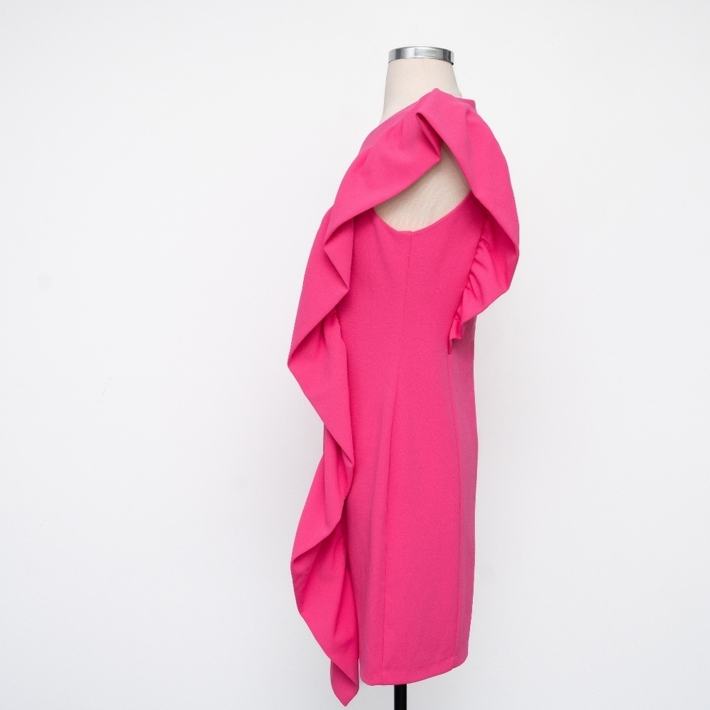 Aniye By | Ruffle Sheath Mini Dress - Picture 5 of 12